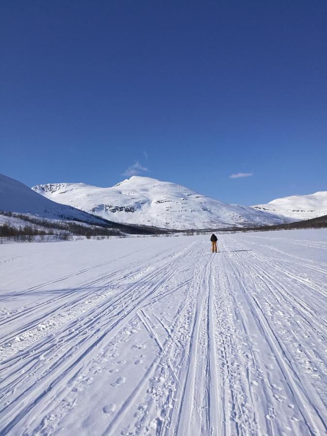 Lapphaugen Turiststasjon Villa Tennevoll Eksteriør bilde