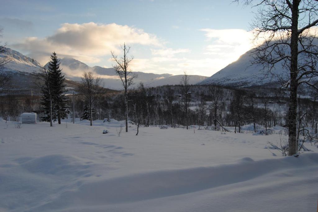Lapphaugen Turiststasjon Villa Tennevoll Rom bilde