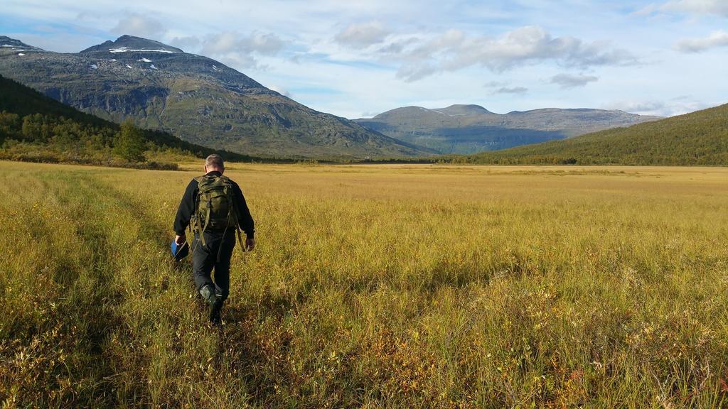 Lapphaugen Turiststasjon Villa Tennevoll Eksteriør bilde