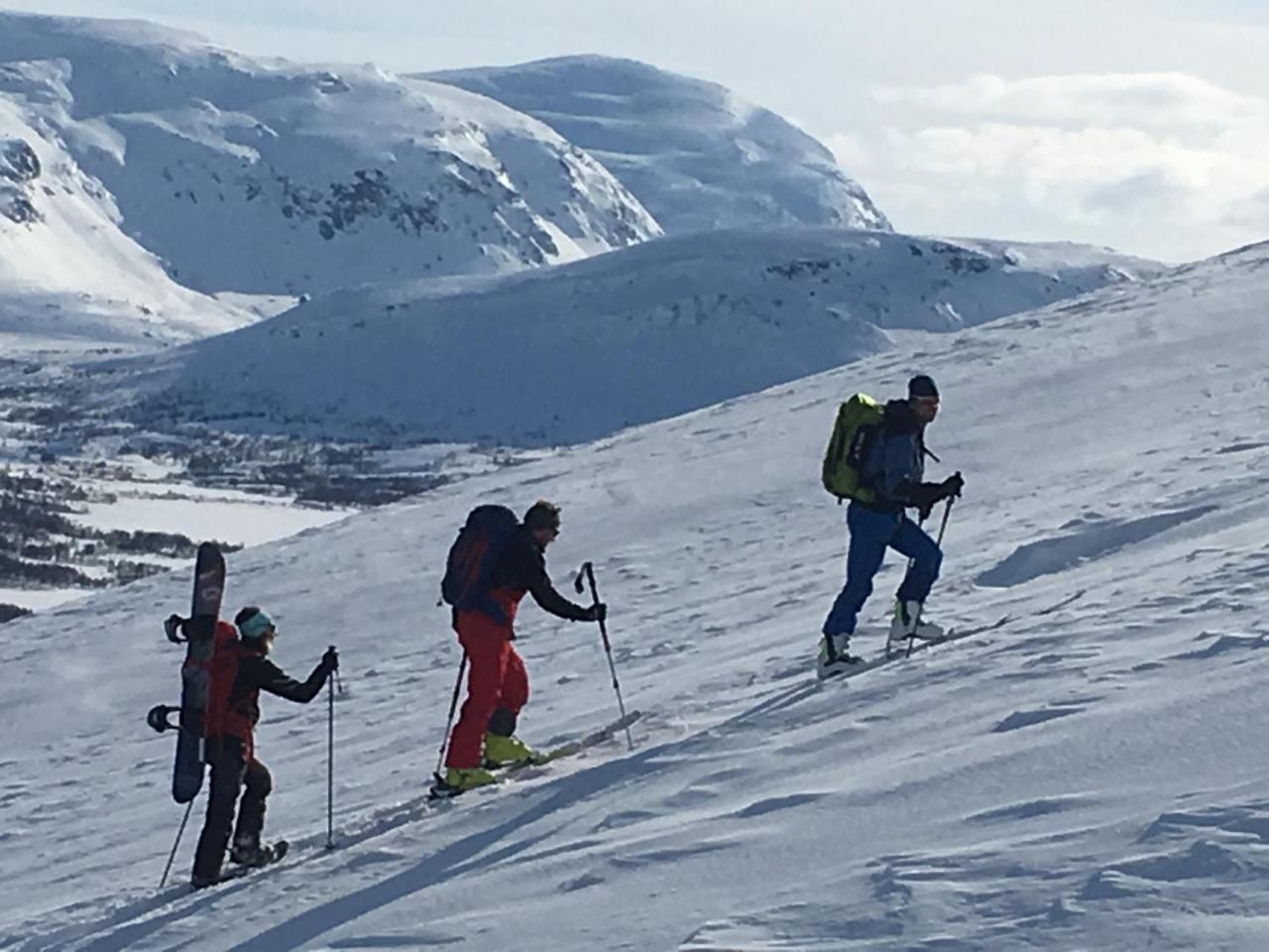 Lapphaugen Turiststasjon Villa Tennevoll Eksteriør bilde